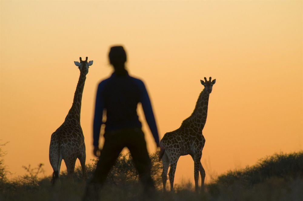 Kubu Safari Lodge โฮดสปรูท ภายนอก รูปภาพ