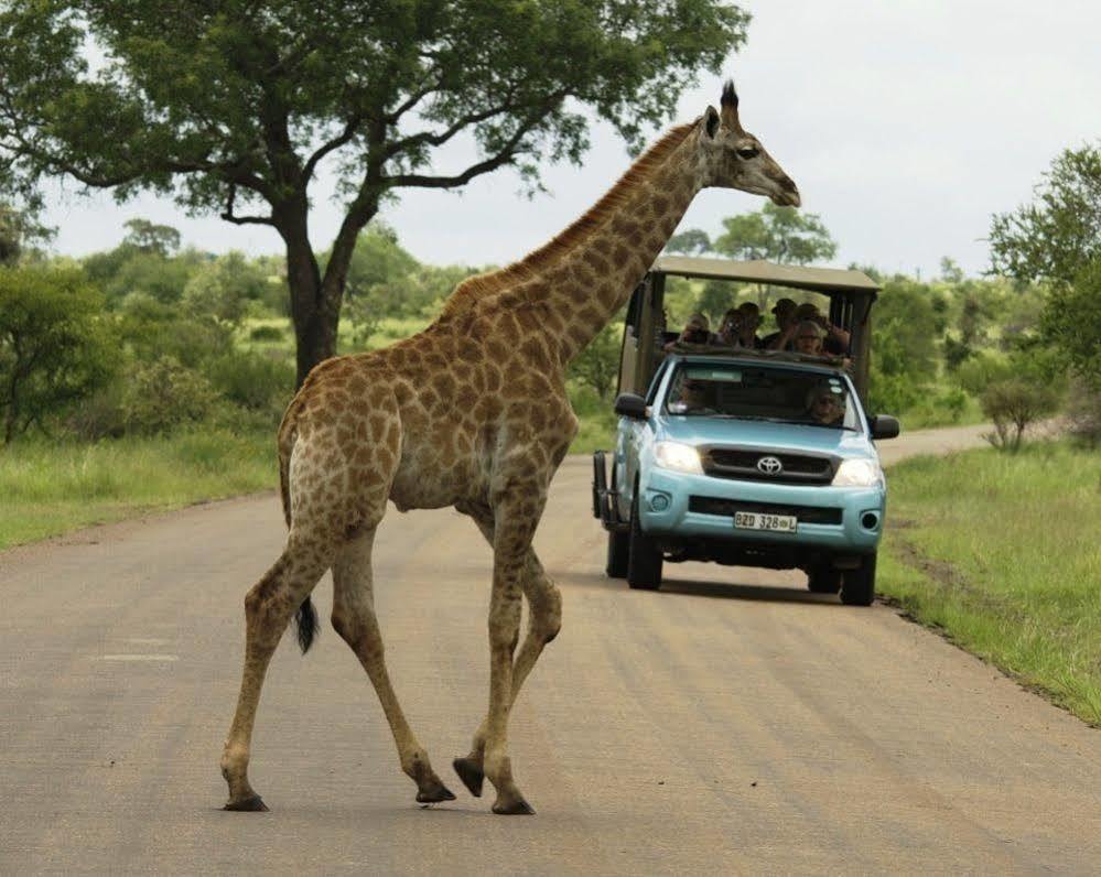 Kubu Safari Lodge โฮดสปรูท ภายนอก รูปภาพ